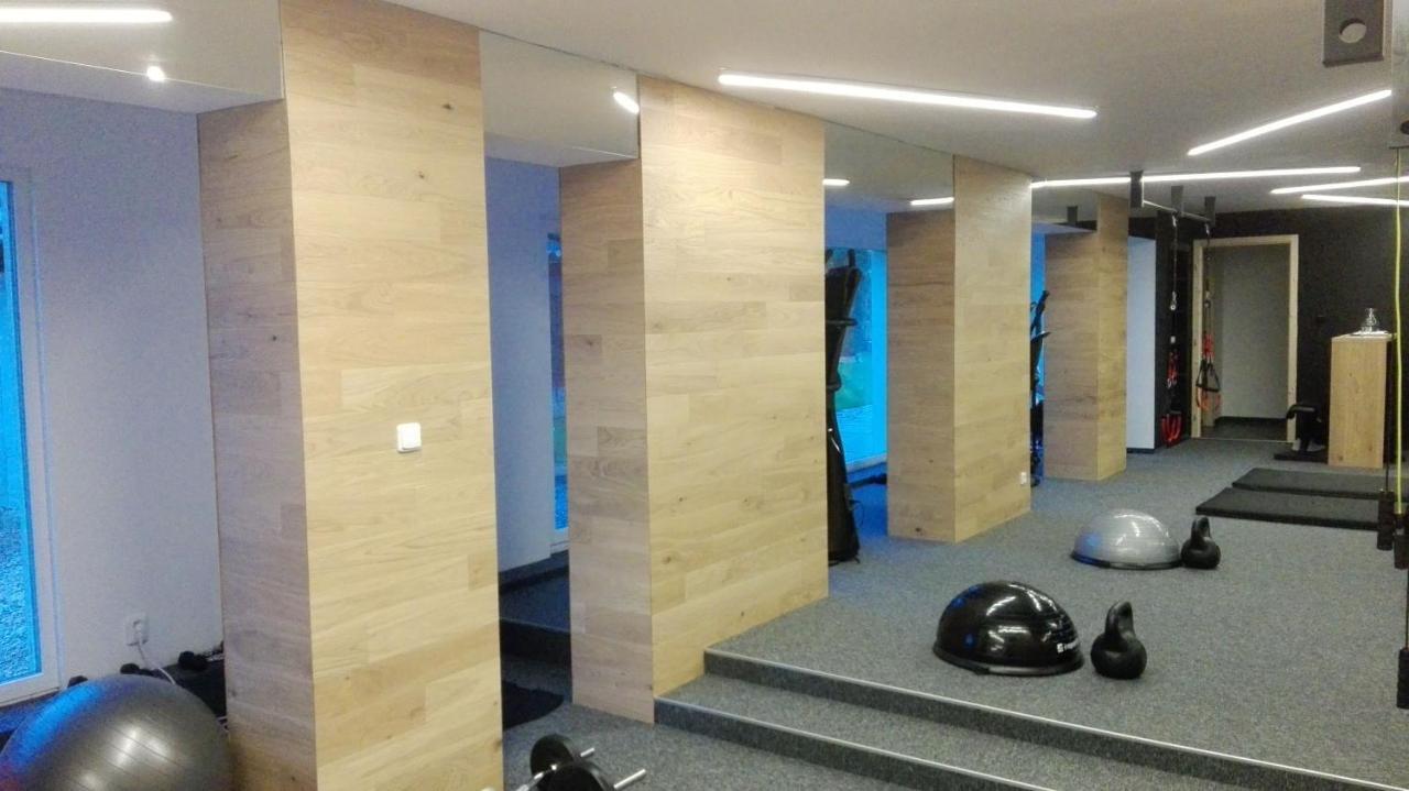 Apartment U Zelmanu